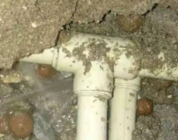 临潼测漏水多少钱