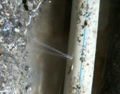 临潼测漏水哪家好