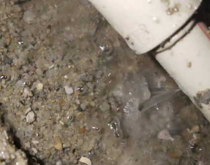 临潼测漏水电话号码