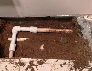 临潼测漏水哪家好