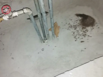 临潼卫生间测漏水价格明细