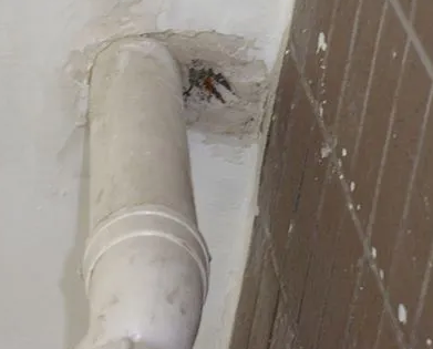 临潼漏水检测哪家好